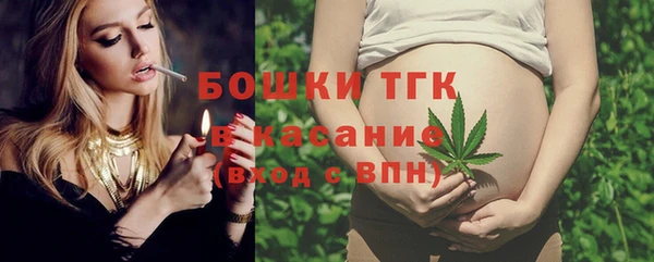 сатива Пересвет