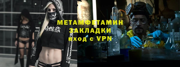 сатива Пересвет