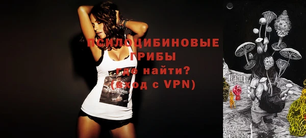 сатива Пересвет