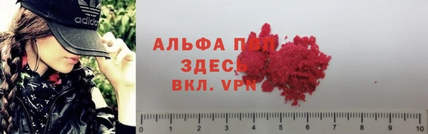 стафф Осинники