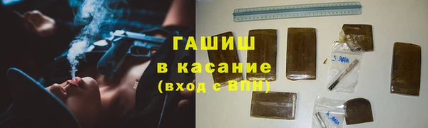 сатива Пересвет
