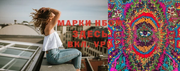 сатива Пересвет