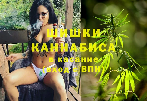 сатива Пересвет