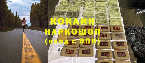 сатива Пересвет
