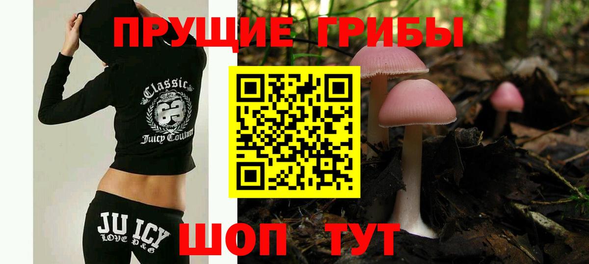 Псилоцибиновые грибы Psilocybe Сатка