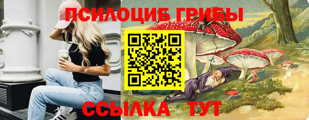 где можно купить наркотик  Псилоцибиновые грибы Magic Shrooms  Сатка  Галлюциногенные грибы GOLDEN TEACHER 